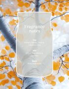 Yankee Candle Silver Birch vonná svíčka 567 g