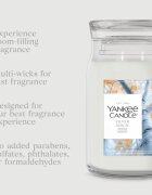 Yankee Candle Silver Birch vonná svíčka 567 g