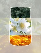 Yankee Candle Silver Birch vonná svíčka Signature 110 g