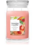 Yankee Candle White Strawberry Bellini vonná svíčka 567 g