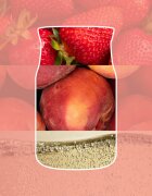 Yankee Candle White Strawberry Bellini vonná svíčka Signature 110 g