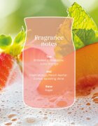 Yankee Candle White Strawberry Bellini vonná svíčka Signature 110 g