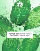 Yves Rocher Pure Menthe jemný čisticí gel s peelingovým efektem 125 ml