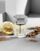 Yves Saint Laurent L'Homme toaletní voda pro muže 100 ml