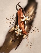 ZADIG&VOLTAIRE ZADIG parfémovaná voda – náhradní náplň pro ženy 150 ml