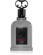 Zimaya Stallion parfémovaná voda pro muže 100 ml