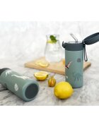 Zopa Thermo Bottle with Silicone Holder and Drinking Spout termoska s brčkem Dino 1 ks