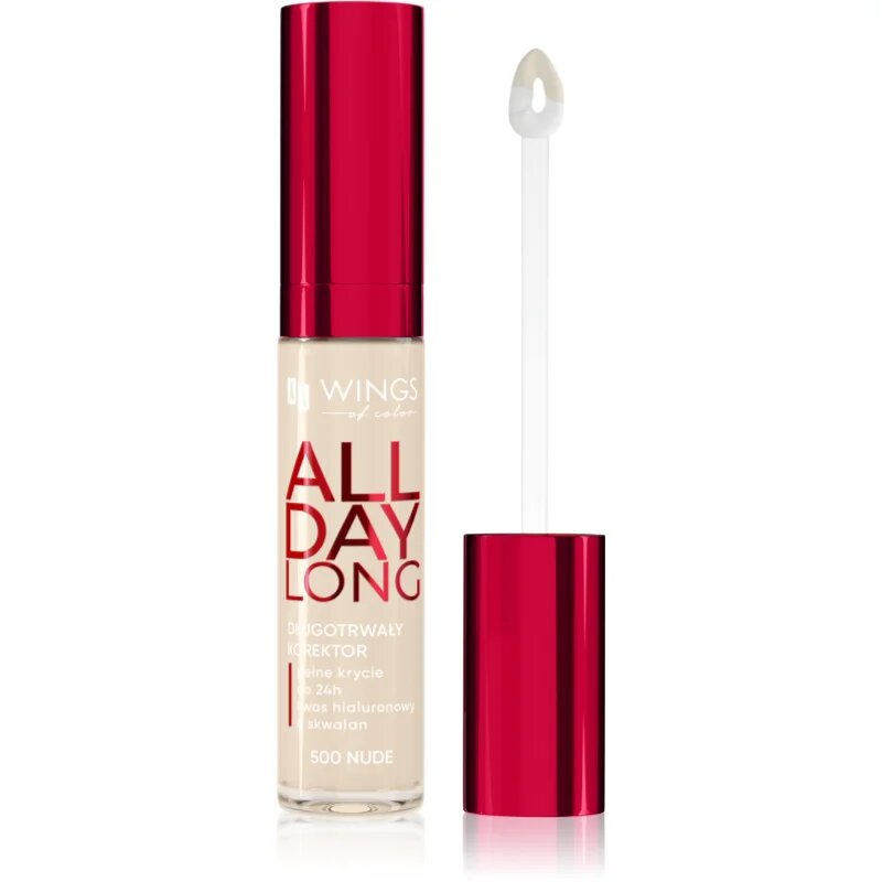 AA Wings of Color All Day Long Long Lasting Concealer tekutý korektor odstín 500 Ivory 6.2 g