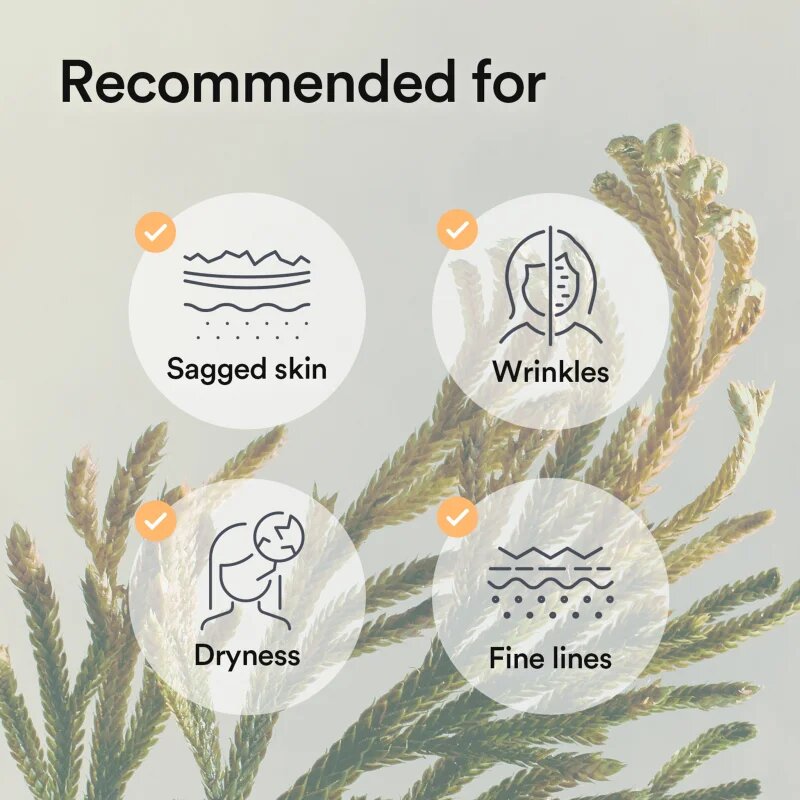 Abib Collagen Gel Mask Jericho Rose Jelly intenzivní hydrogelová maska se zpevňujícím účinkem 35 g