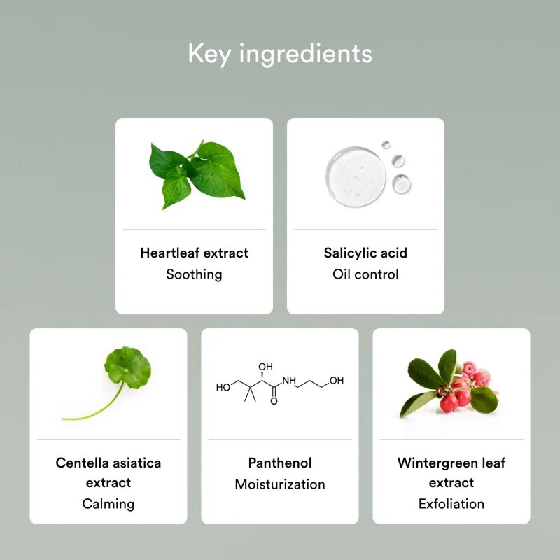 Abib Heartleaf Mild Foam Cleanser zklidňující čisticí pěna pro problematickou pleť akné 150 ml