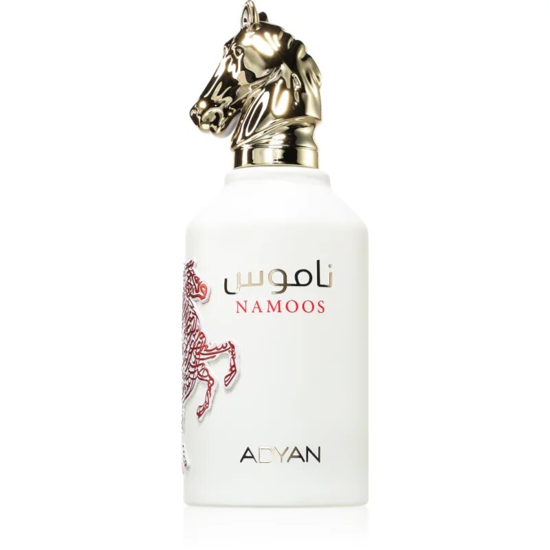 Adyan Namoos parfémovaná voda unisex 100 ml