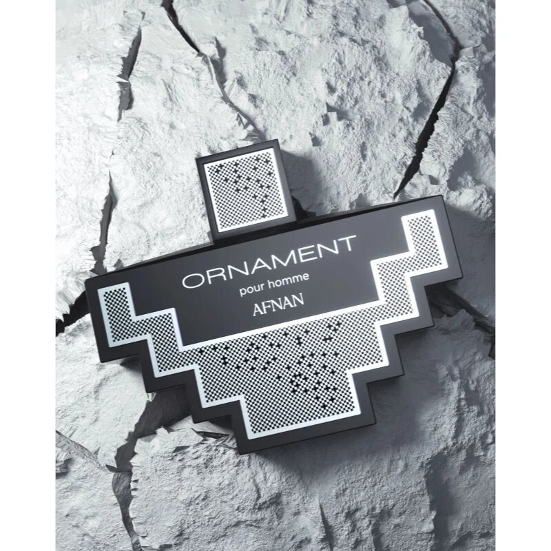 Afnan Ornament Pour Homme parfémovaná voda pro muže 100 ml