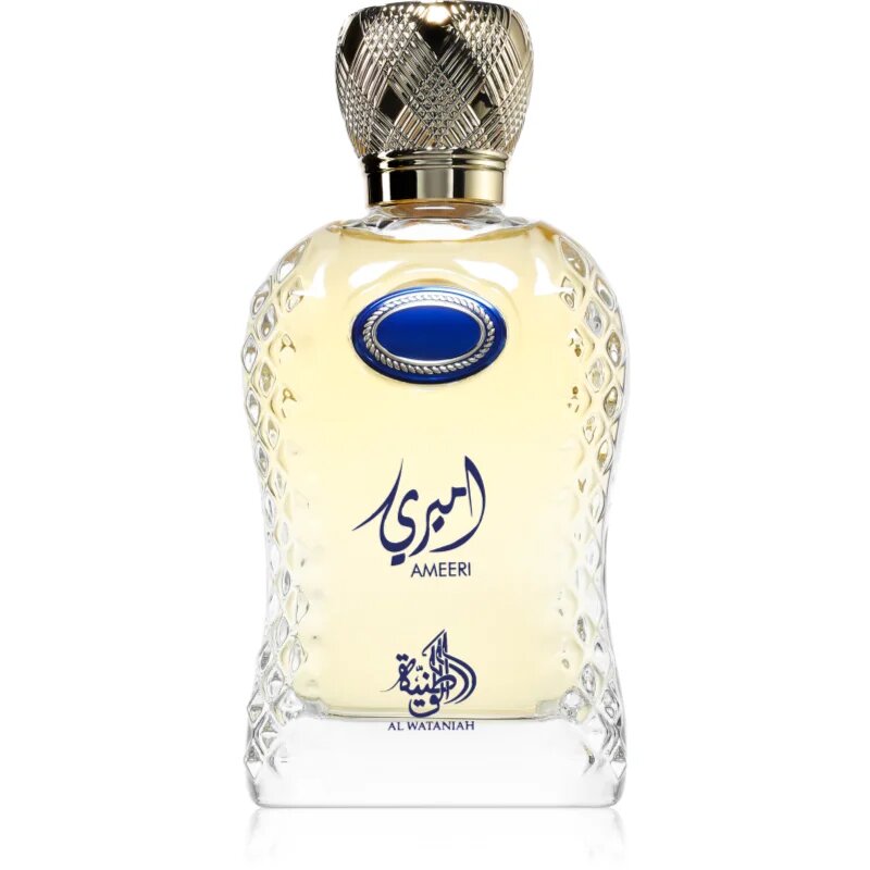 Al Wataniah Ameeri parfémovaná voda pro muže 100 ml