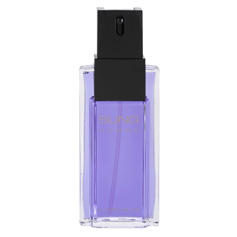 Alfred Sung Sung for Men toaletní voda pro muže 100 ml