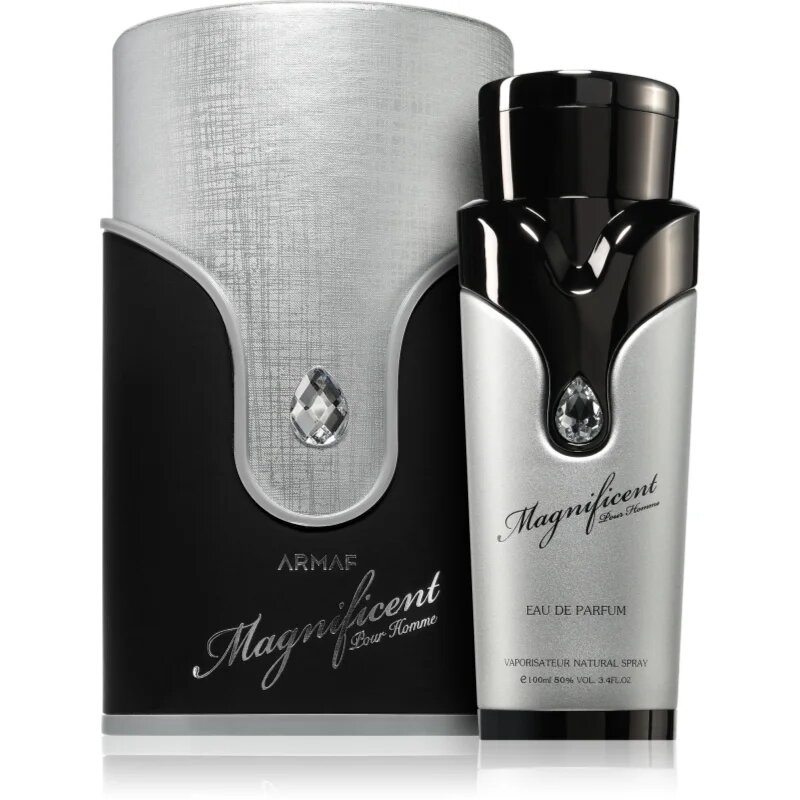 Armaf Magnificent Pour Homme parfémovaná voda pro muže 100 ml