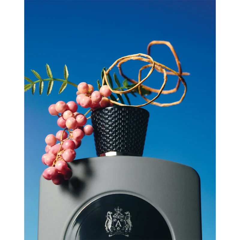 Atkinsons James parfémovaná voda pro muže 100 ml