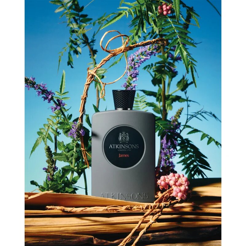 Atkinsons James parfémovaná voda pro muže 100 ml