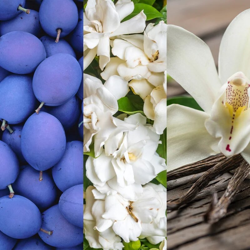Avon Far Away Splendoria parfémovaná voda pro ženy 50 ml