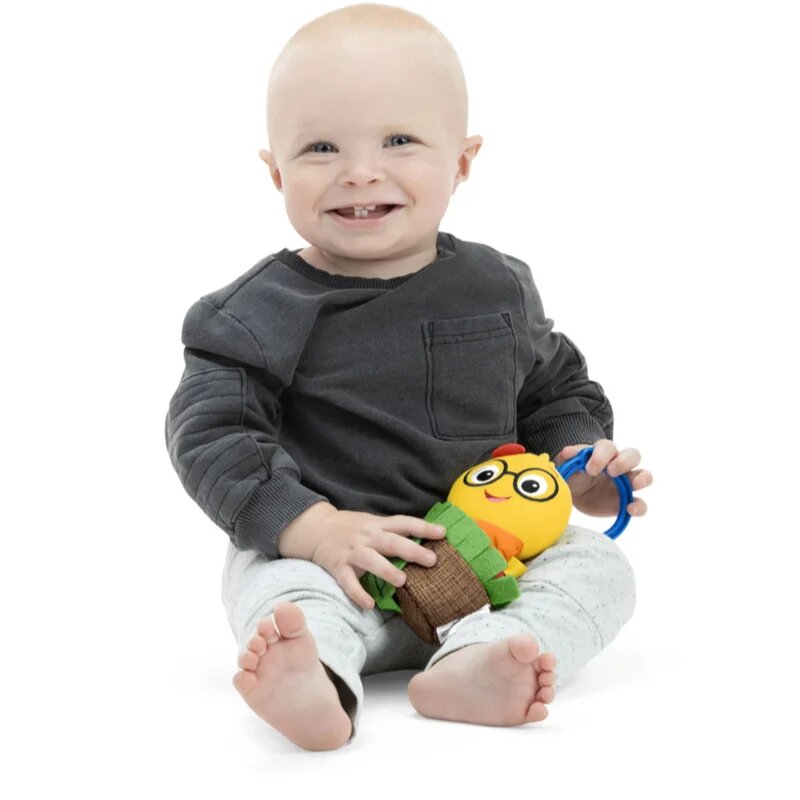 Baby Einstein Cal-a-Puller™ hračka s chrastítkem 0m+ 1 ks
