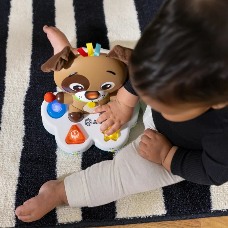 Baby Einstein Drum & Learn Dean Musical Learning Toy hudební hračka 6 m+ 1 ks