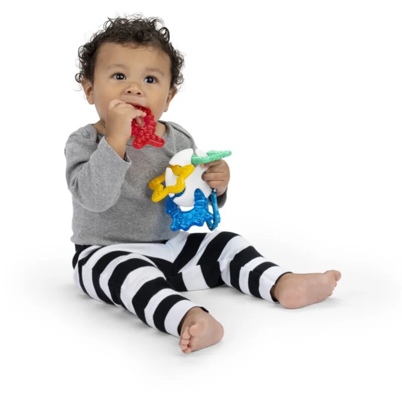Baby Einstein Ocean Explorers Sea of Sensory Teether Toy kousátko 3 m+ 1 ks
