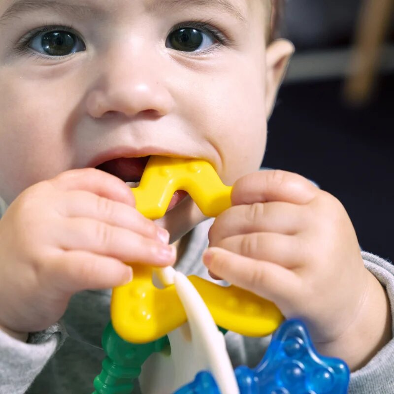 Baby Einstein Ocean Explorers Sea of Sensory Teether Toy kousátko 3 m+ 1 ks