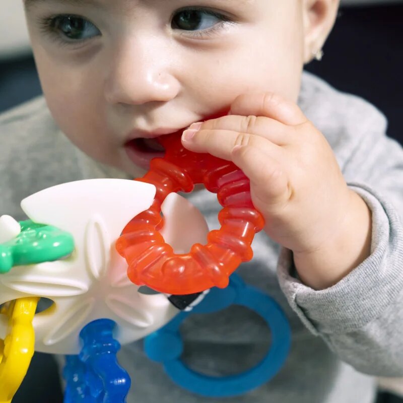 Baby Einstein Ocean Explorers Sea of Sensory Teether Toy kousátko 3 m+ 1 ks