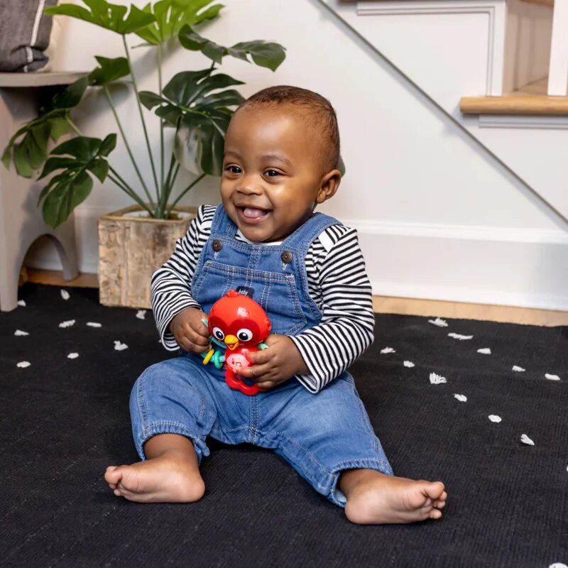 Baby Einstein Roxy's Bright Flight™ hudební hračka 3m 1 ks