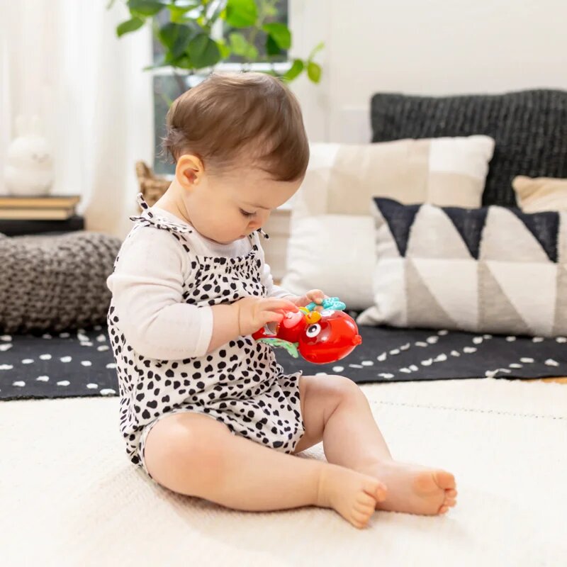 Baby Einstein Roxy's Bright Flight™ hudební hračka 3m 1 ks
