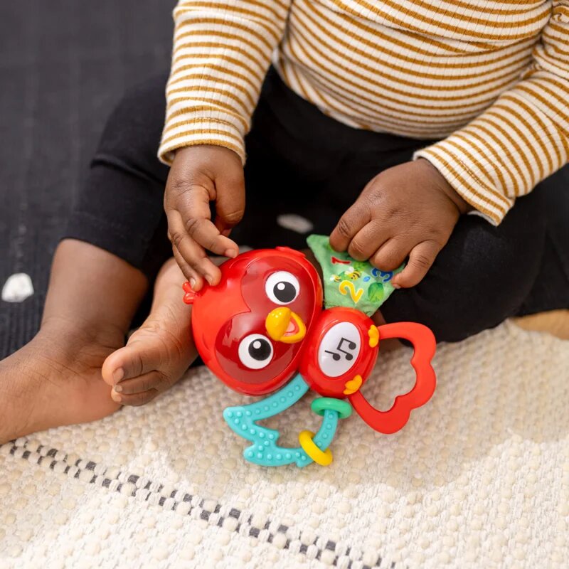 Baby Einstein Roxy's Bright Flight™ hudební hračka 3m 1 ks