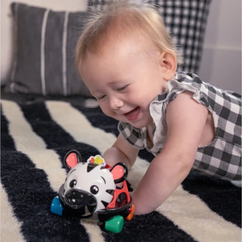 Baby Einstein Zen the Zebra™ Curious Car autíčko s chrastítkem 3 m+ 1 ks