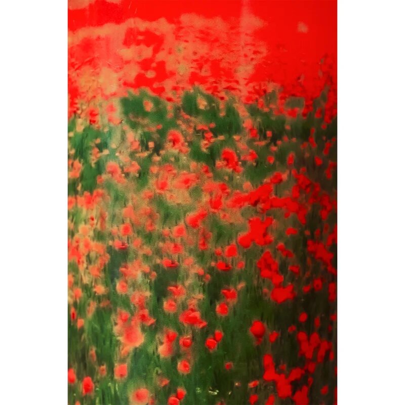 Baobab Collection Arty Flowers Poppies vonná svíčka 500 g