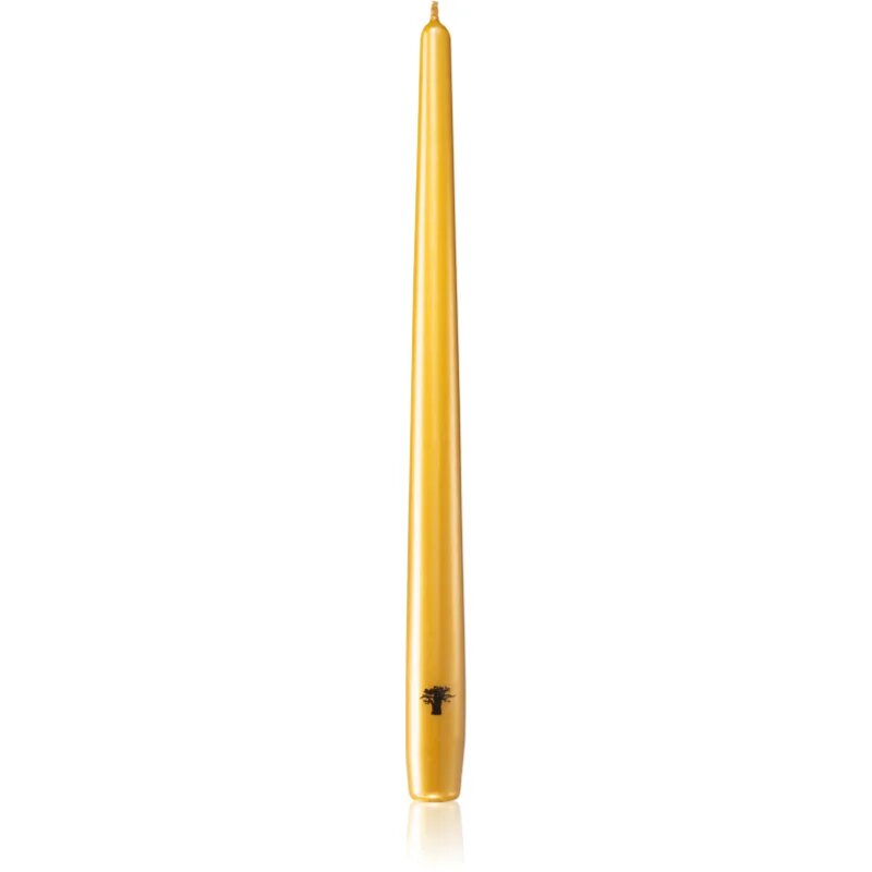 Baobab Collection Candela Gold svíčka 4 ks