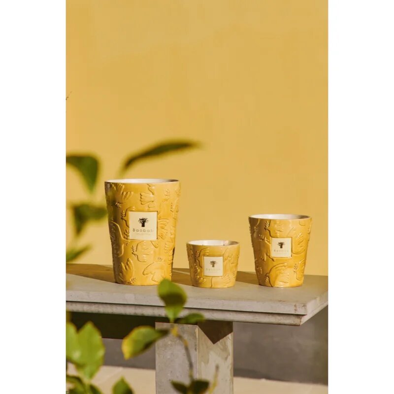 Baobab Collection Paz Dove vonná svíčka 1000 g