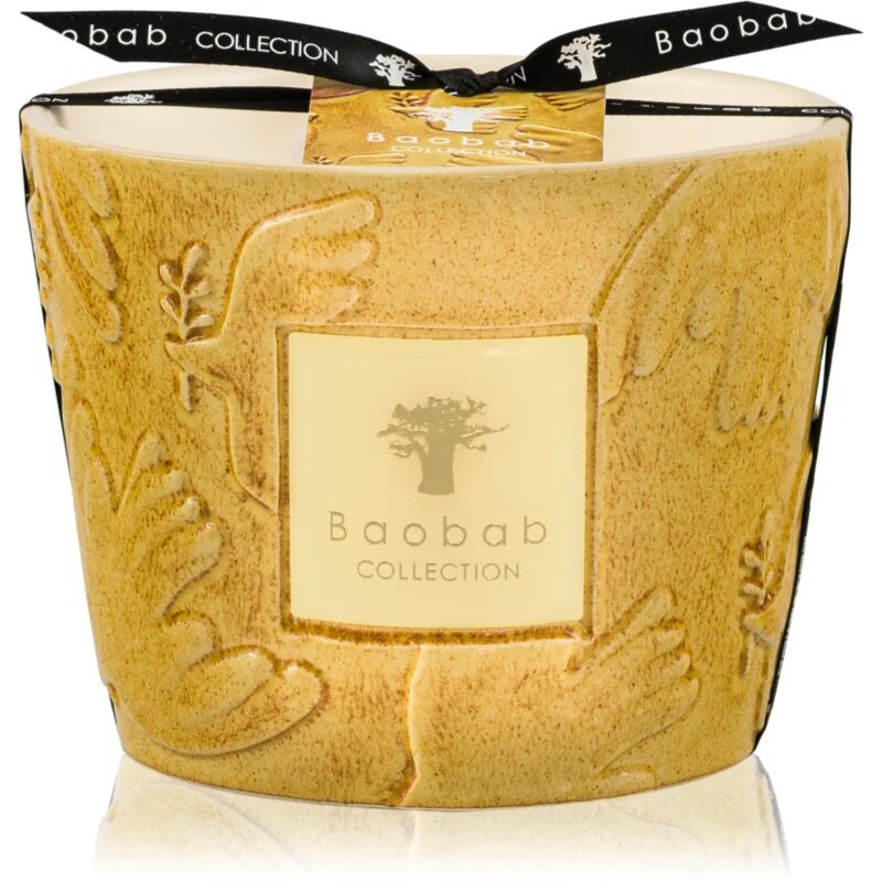 Baobab Collection Paz Dove vonná svíčka 500 g