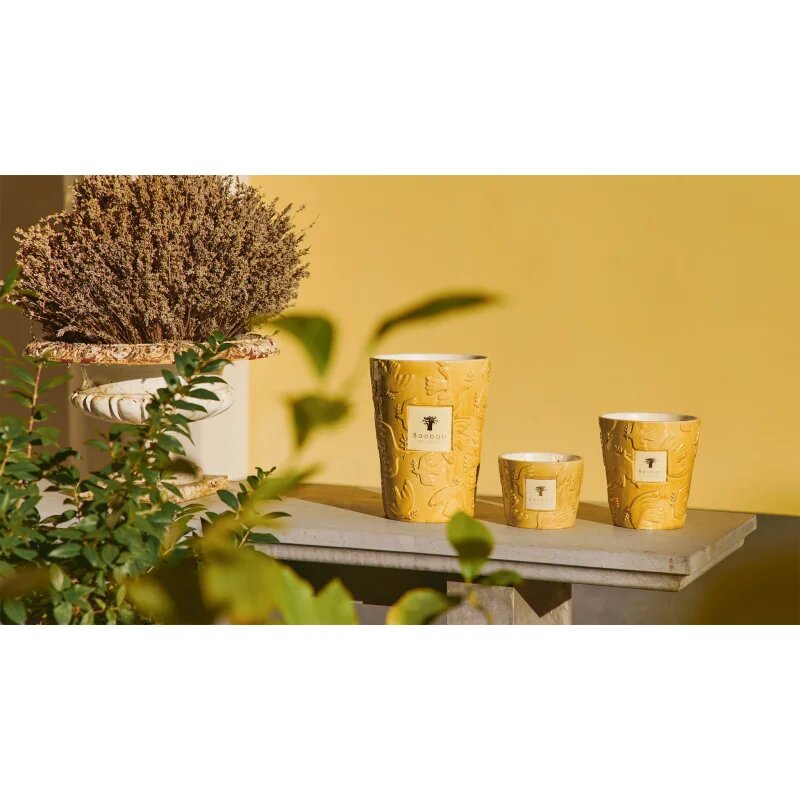 Baobab Collection Paz Dove vonná svíčka 500 g
