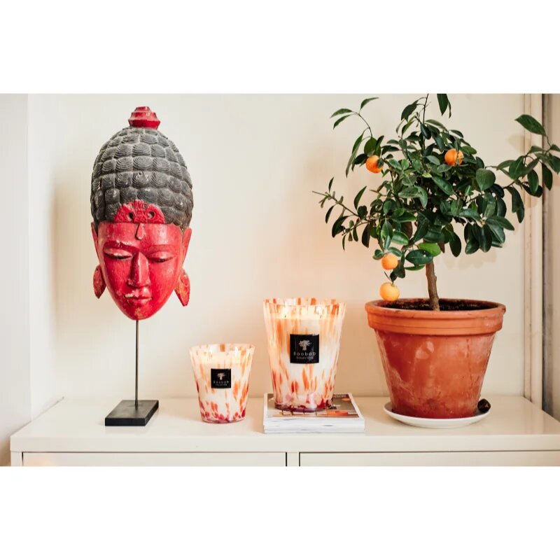 Baobab Collection Pearls Coral vonná svíčka 1000 g