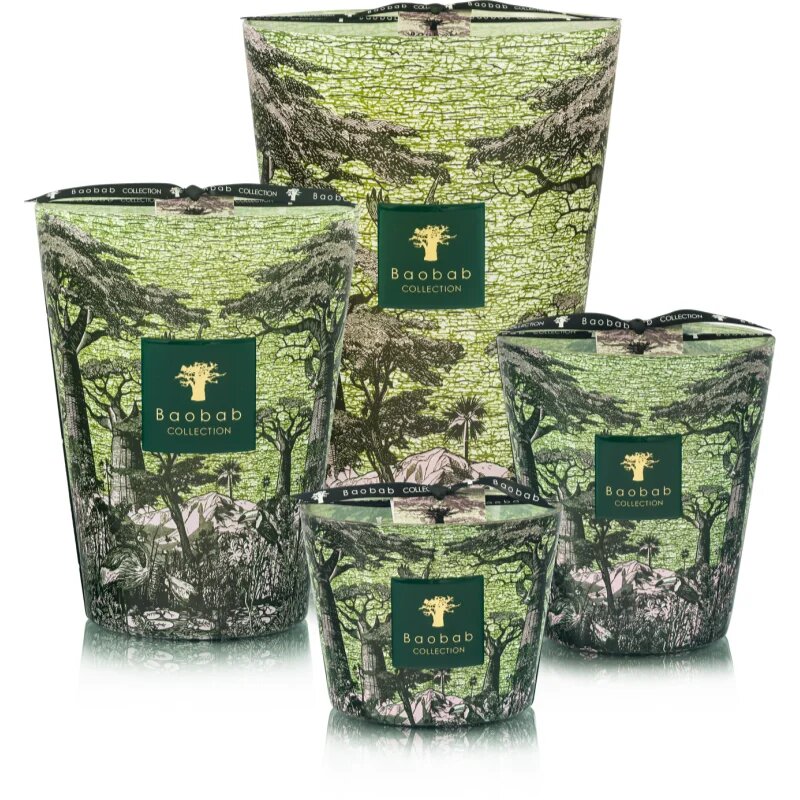 Baobab Collection Sacred Trees Touba vonná svíčka 1100 g