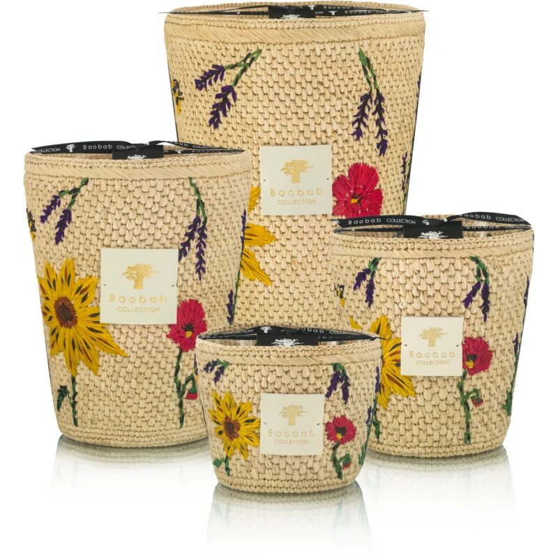 Baobab Collection Vony Ahitra vonná svíčka 1000 g