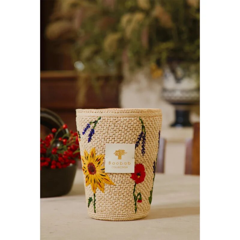 Baobab Collection Vony Ahitra vonná svíčka 1000 g