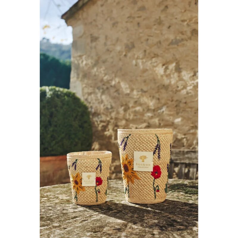 Baobab Collection Vony Ahitra vonná svíčka 1000 g