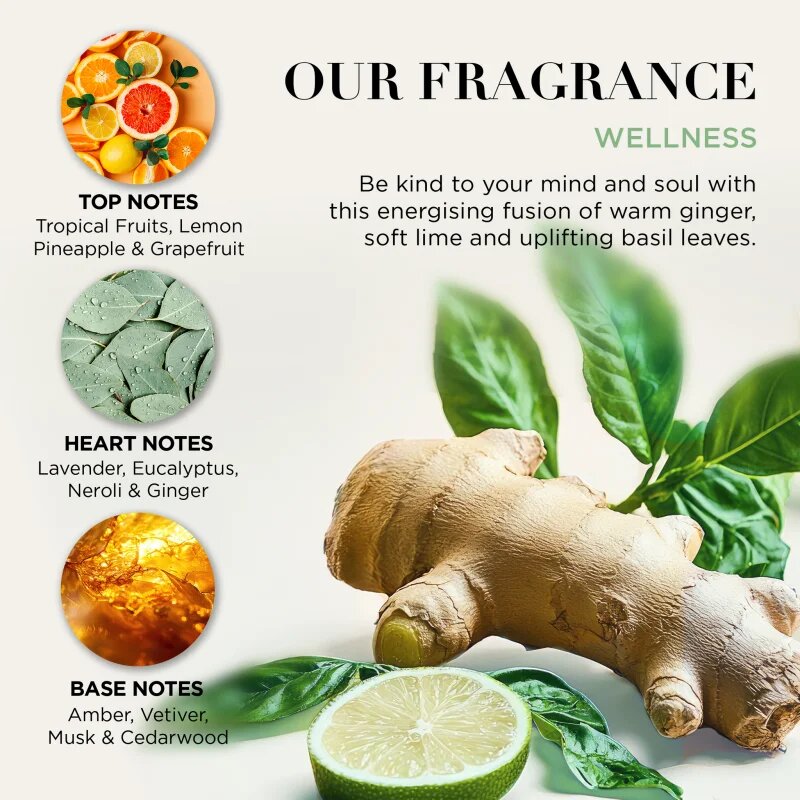 Baylis & Harding Wellness. Energise dárková sada Ginger Lime & Basil Leaf