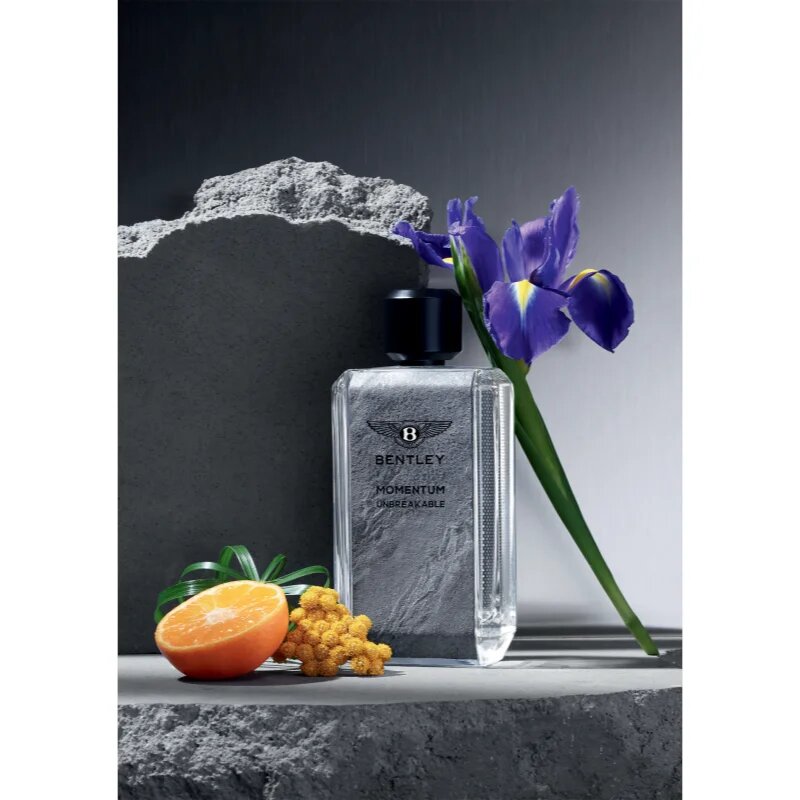 Bentley Momentum Unbreakable parfémovaná voda pro muže 100 ml