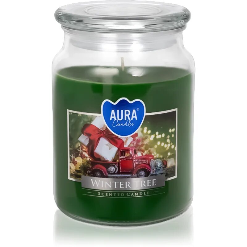BISPOL Premium Line Winter Tree vonná svíčka 500 g
