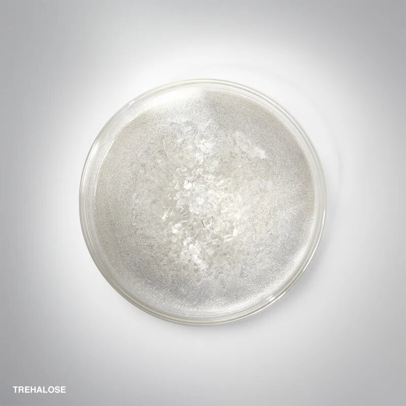 Bobbi Brown Hydrating Face Cream hydratační krém pro všechny typy pleti 50 g