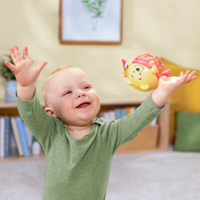Bright Starts Winnie the Pooh Jingle & Shake Oball chrastítko 0m+ 1 ks