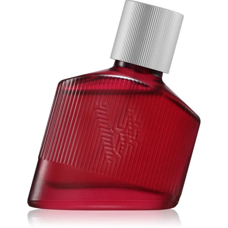 Bruno Banani Loyal Man parfémovaná voda pro muže 50 ml