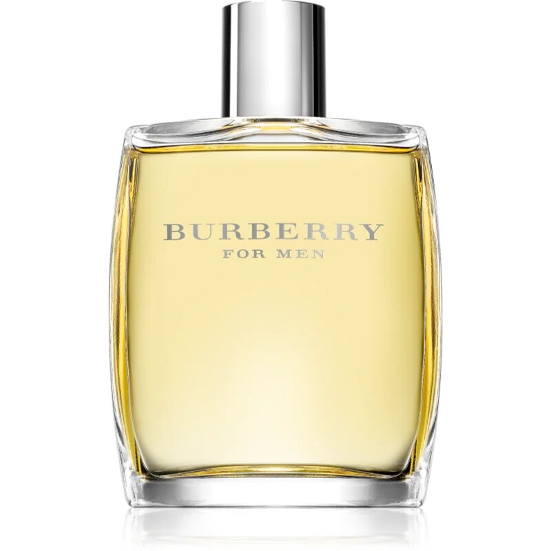 Burberry for Men toaletní voda pro muže 100 ml