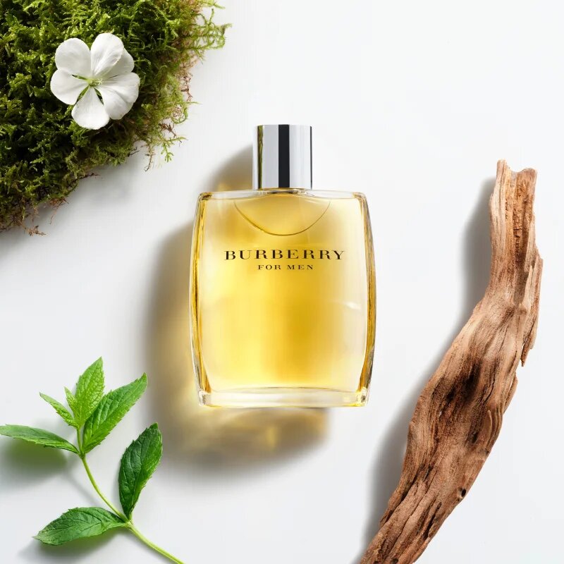 Burberry for Men toaletní voda pro muže 100 ml