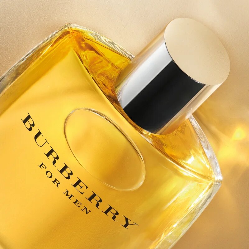 Burberry for Men toaletní voda pro muže 100 ml